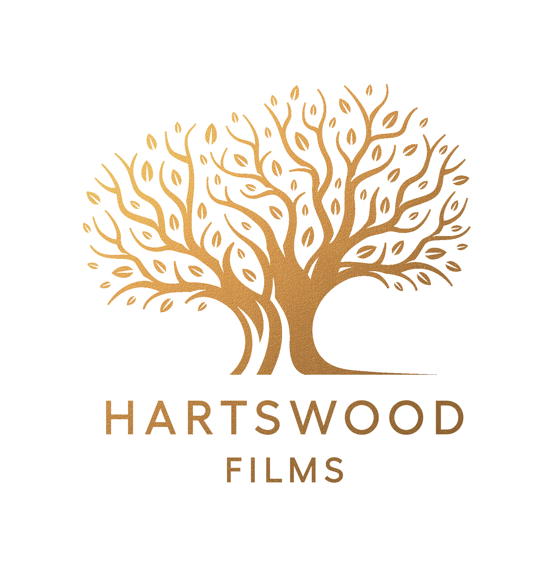 Hartswood Films
